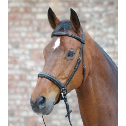 Star Bitless Bridle - Scawbrig Style Bitless Bridle and Reins